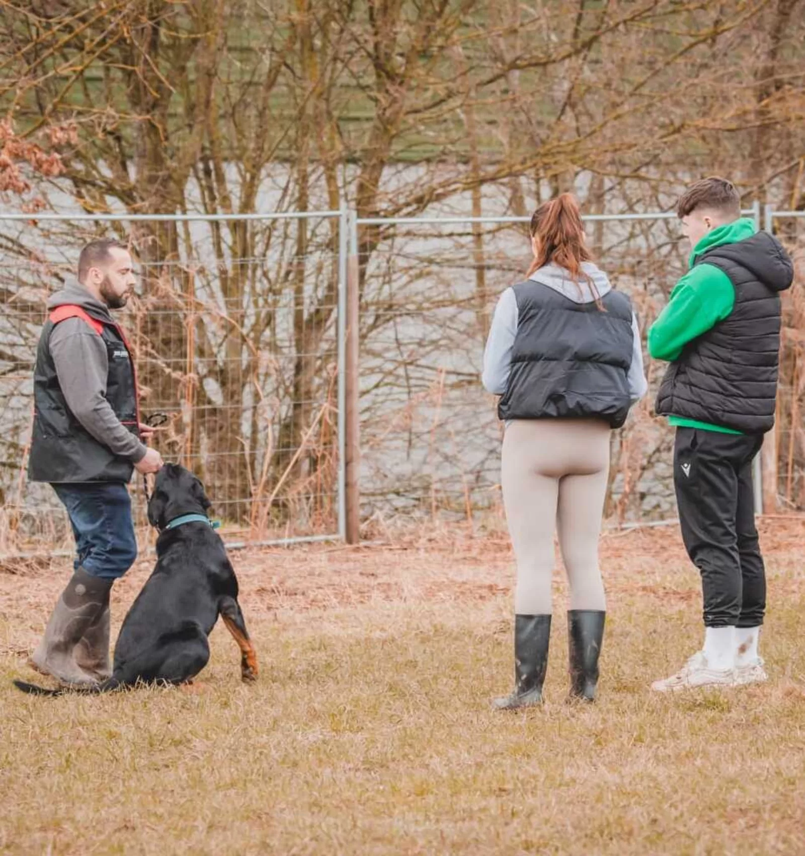 Dog Training Classes Mansfield