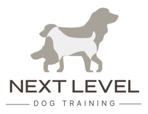 Next Level Dog Training