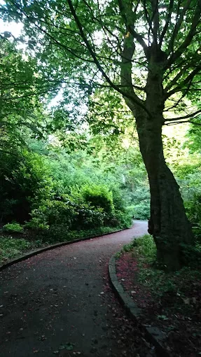 Saltwell Park Dog Walking Area