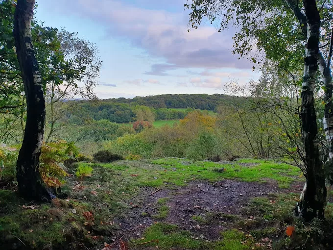 The Ercall Nature Reserve
