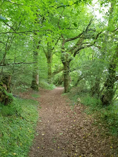 Green Castle Wood