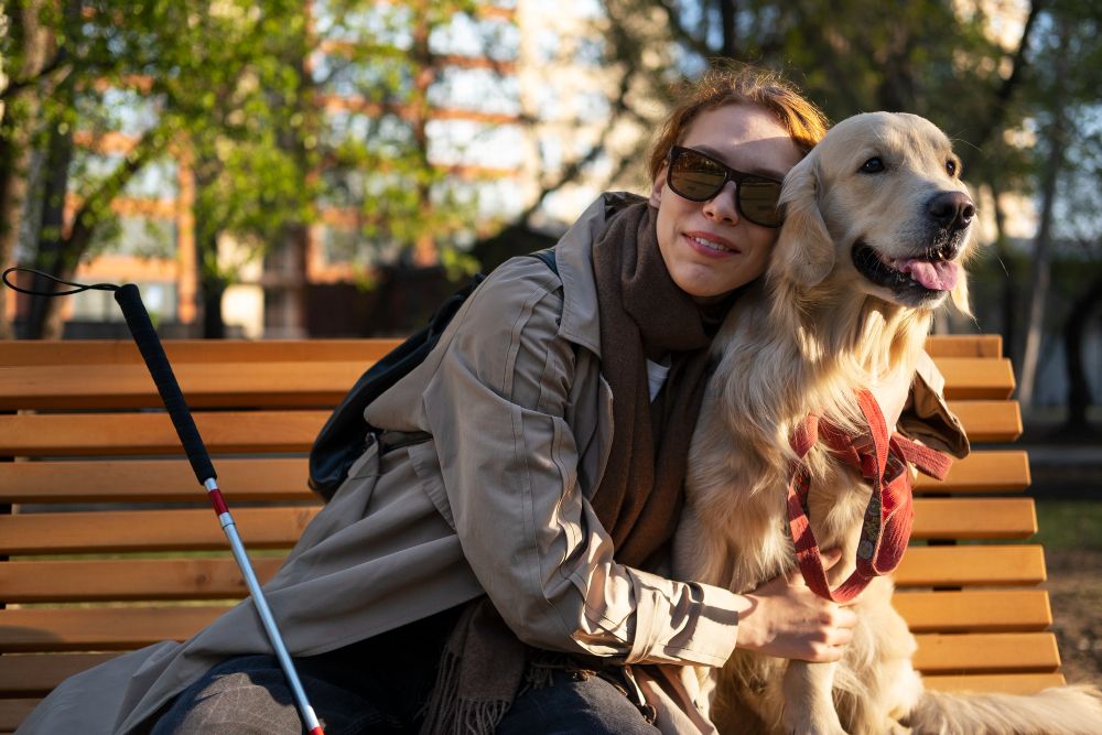 service dogs beyond companionship