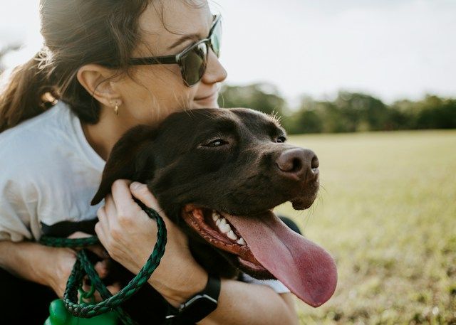 10 unique ways dogs improve our lives