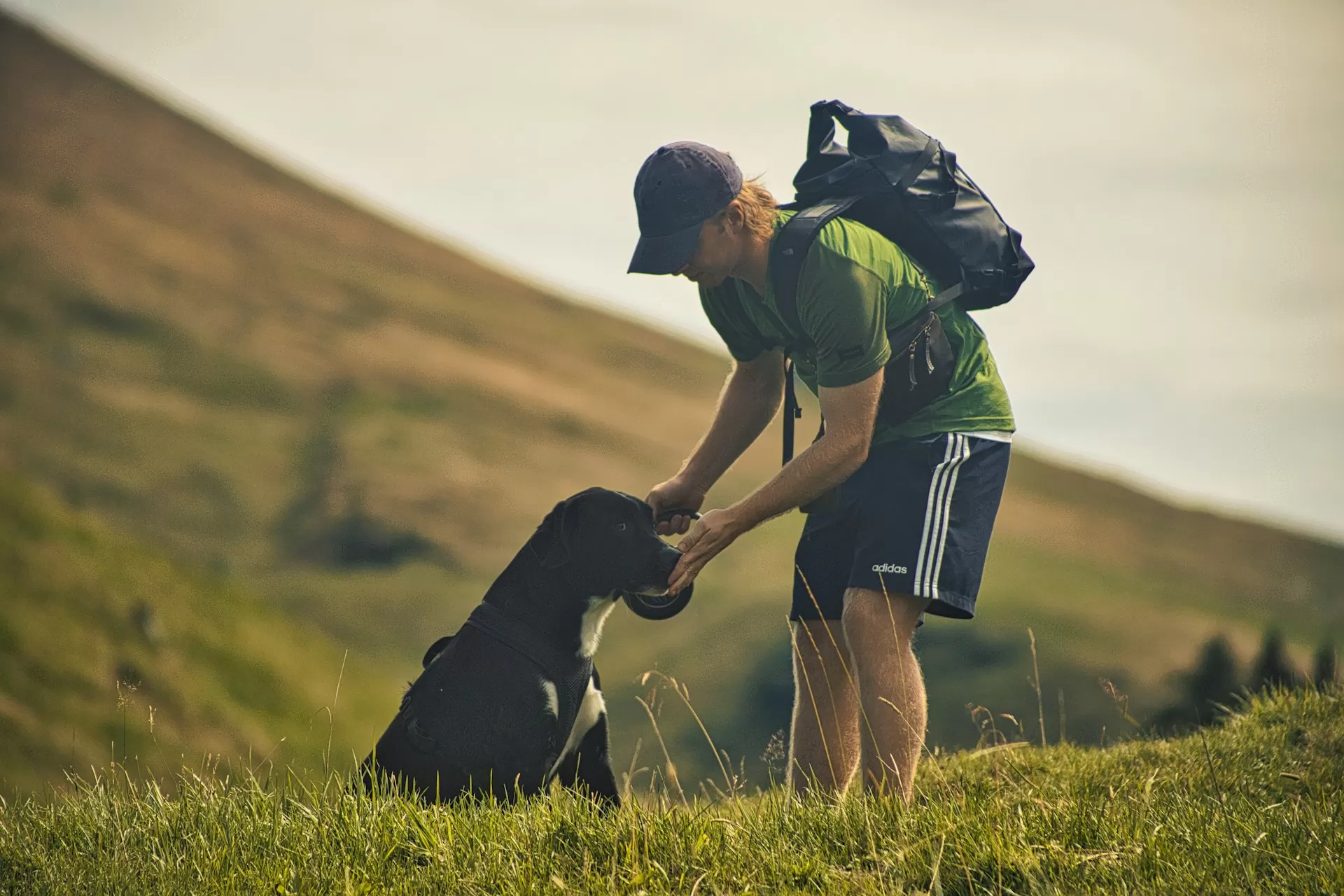 Leadership with your Dog