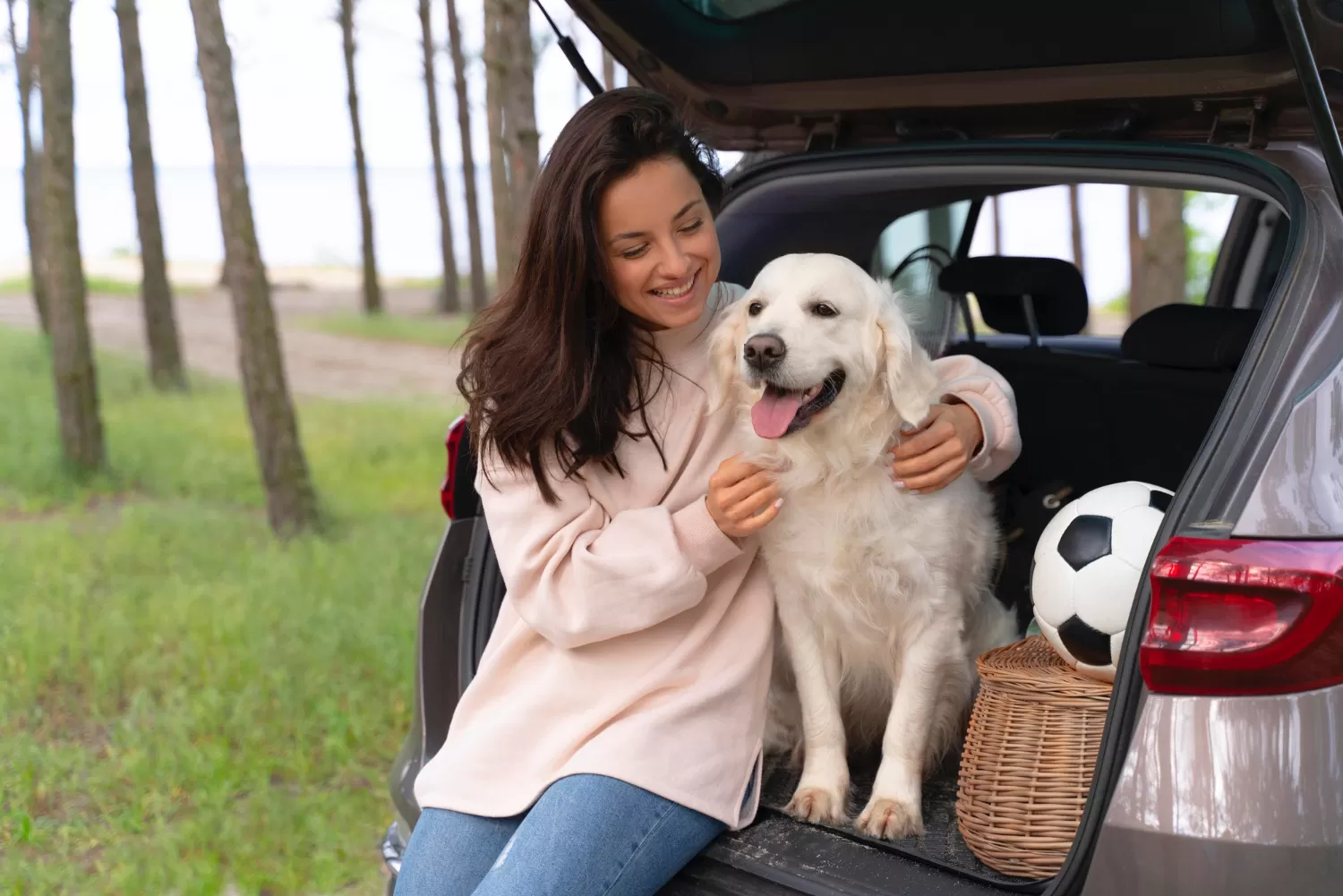 Travelling with your Dog