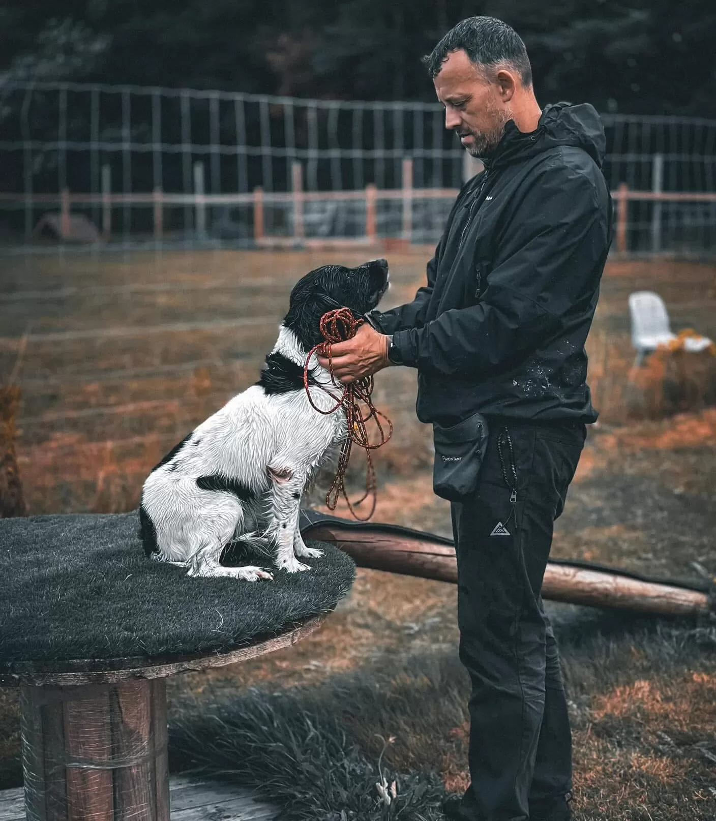 One to One Dog Training Nottingham