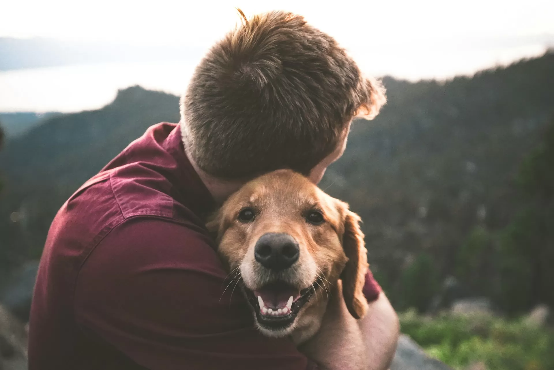 PTSD Support Dogs Transform Lives