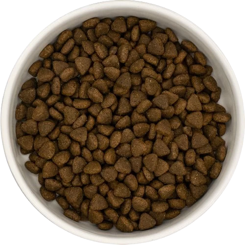 Grain Free Dog Food
