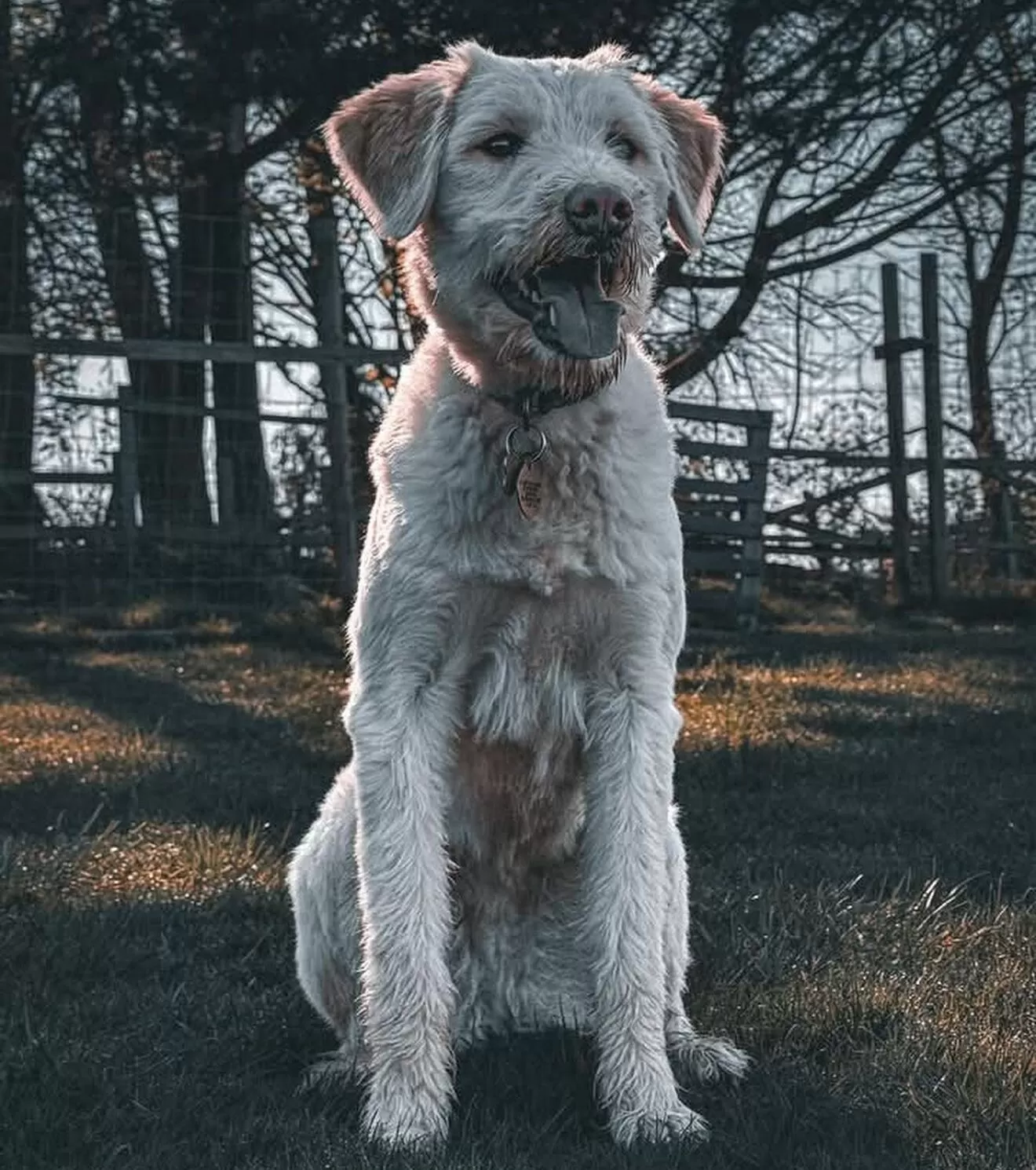 Klara